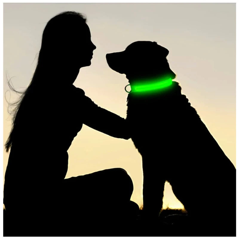 Collier Lumineux LED USB pour Chien - Rechargeable 3 Modes