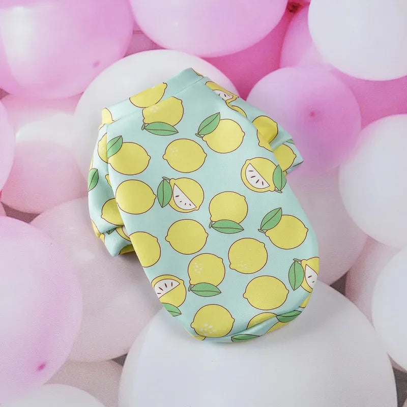 Pull Over pour Petit Chien - Vêtement Chaud Hiver