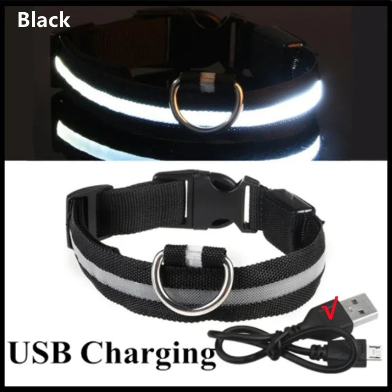 Collier Lumineux LED USB pour Chien - Rechargeable 3 Modes
