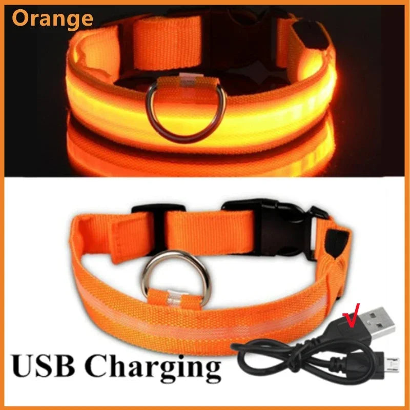 Collier Lumineux LED USB pour Chien - Rechargeable 3 Modes