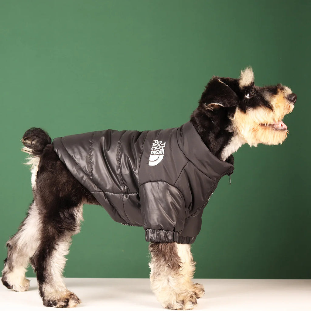 Coupe Vent pour Chien - Veste Imperméable Réfléchissante
