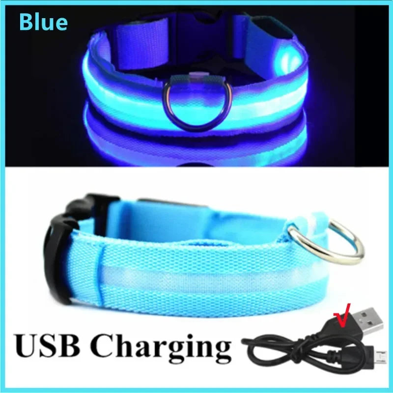 Collier Lumineux LED USB pour Chien - Rechargeable 3 Modes
